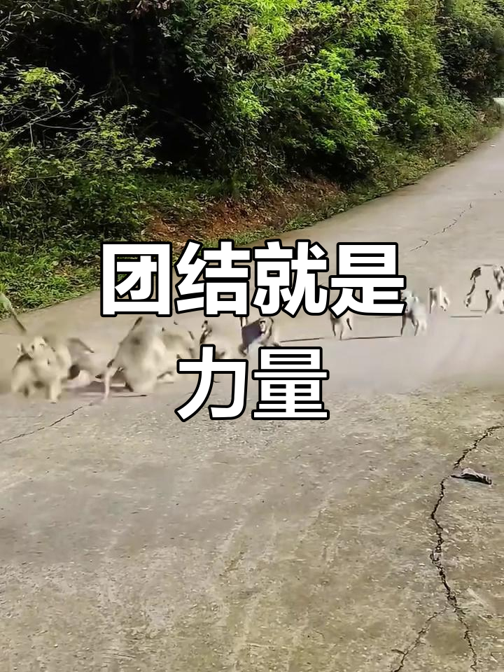 平博-团结一心,我们就能战胜对手格言怎么说
